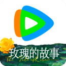 桃鹿安琪